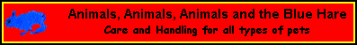 small animal banner